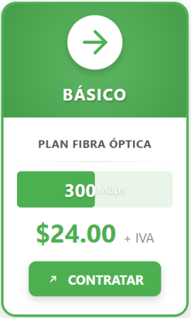 Basico Basico